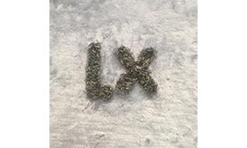 鈦毛細(xì)管 - 細(xì)節(jié)展示